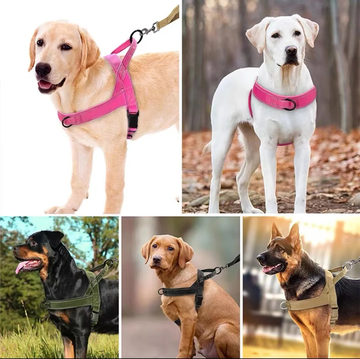 LeadWell™ Dog Harness