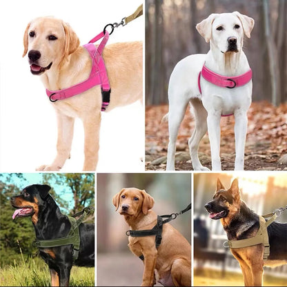LeadWell™ Dog Harness