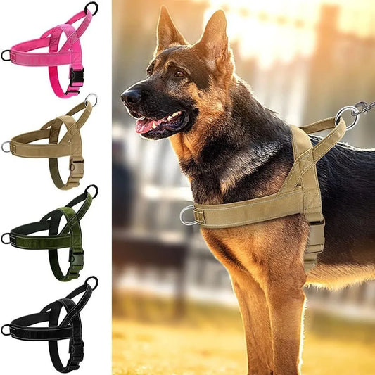 LeadWell™ Dog Harness